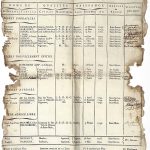 Expoziția din această săptămână este o arhivă masonică franceză din 1780-1840 4