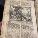 Fabuloasa Biblie a lui Merian. Prima editie anul 1630 15